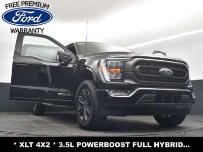2023 Ford F-150 XLT