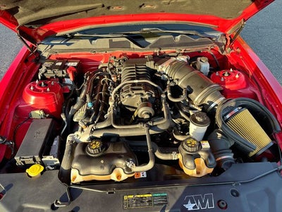 2010 Ford Mustang Shelby GT500