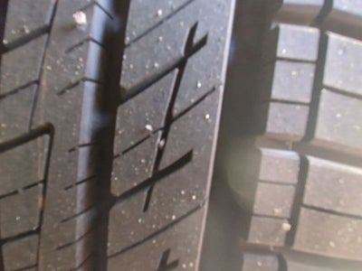 2025 Dodge Charger R/T