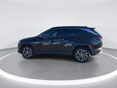 2025 Hyundai Tucson Limited