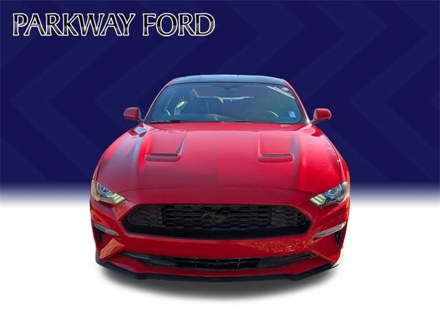 2019 Ford Mustang EcoBoost