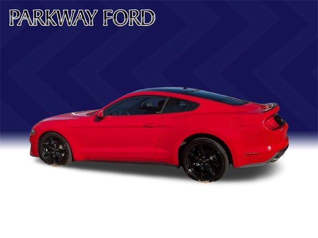2019 Ford Mustang EcoBoost